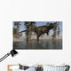 Tyrannosaurus Rex Hunting for Wall Decal Design 4
