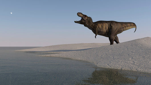 Tyrannosaurus Rex Hunting for Wall Decal Design 3