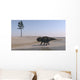 Udanoceratops Walking along Water's Wall Decal Design 4