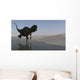 Yangchuanosaurus Running along Shore Wall Decal