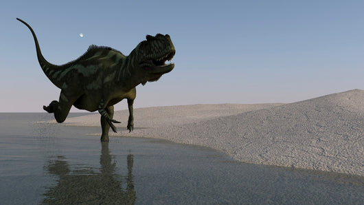 Yangchuanosaurus Running along Shore Wall Decal