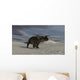 Brown Einiosaurus Walking across Wall Decal Design 11