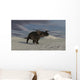 Brown Einiosaurus Walking across Wall Decal Design 11