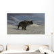 Brown Einiosaurus Walking across Wall Decal Design 11