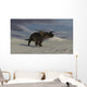 Brown Einiosaurus Walking across Wall Decal Design 11