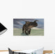 Brown Einiosaurus Walking across Wall Decal Design 10