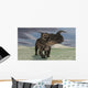 Brown Einiosaurus Walking across Wall Decal Design 10