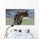 Brown Einiosaurus Walking across Wall Decal Design 10
