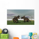 Two Brown Einiosaurus Dinosaurs Wall Decal Design 2