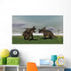 Two Brown Einiosaurus Dinosaurs Wall Decal Design 2