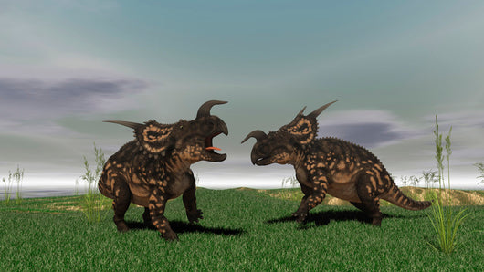 Two Brown Einiosaurus Dinosaurs Wall Decal Design 2
