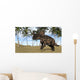 Brown Einiosaurus Prehistoric Landscape Wall Decal