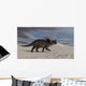 Brown Einiosaurus Walking across Wall Decal Design 8