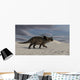 Brown Einiosaurus Walking across Wall Decal Design 8