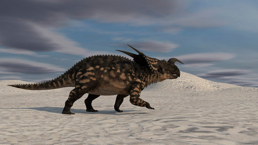 Brown Einiosaurus Walking across Wall Decal Design 8