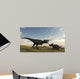 Einiosaurus Is Confronted Wall Decal