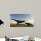 Einiosaurus Is Confronted Wall Decal