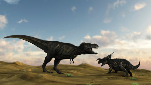 Einiosaurus Is Confronted Wall Decal