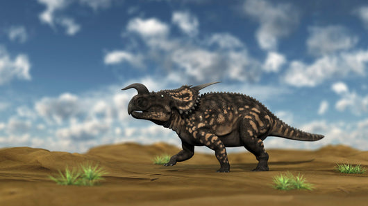 Brown Einiosaurus Walking across Wall Decal Design 7