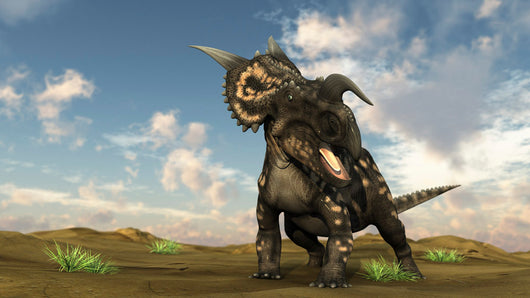 Brown Einiosaurus Walking across Wall Decal Design 4
