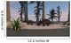 Two Brown Einiosaurus Dinosaurs Wall Decal Design 1