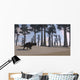 Brown Einiosaurus Roaming Prehistoric Wall Decal