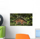 Kentrosaurus Prehistoric Forest Wall Decal Design 2