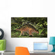 Kentrosaurus Prehistoric Forest Wall Decal Design 2
