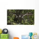 Utahraptor Prehistoric Forest Wall Decal Design 1
