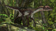 Utahraptor Prehistoric Forest Wall Decal Design 1