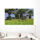 Three Gigantoraptors Running across Wall Decal Design 2