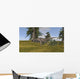 Ceratosaurus Running across Grassy Wall Decal Design 3