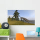 Ceratosaurus Running up Hill Wall Decal