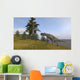 Ceratosaurus Running up Hill Wall Decal