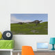 Two Dicraeosaurus Dinosaurs Walking Wall Decal