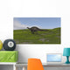 Dicraeosaurus Walking across Grassy Wall Decal Design 2