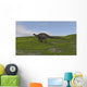 Dicraeosaurus Walking across Grassy Wall Decal Design 2