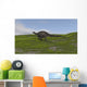 Dicraeosaurus Walking across Grassy Wall Decal Design 2