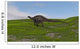 Dicraeosaurus Walking across Grassy Wall Decal Design 2