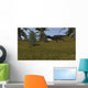Majungasaurus Running across Grassy Wall Decal Design 5