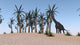 Large Brachiosaurus Grazing Island Wall Decal