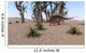 Kentrosaurus Roaming Island Environment Wall Decal