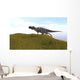 Ceratosaurus Running across Grassy Wall Decal Design 2