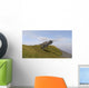 Ceratosaurus Running across Grassy Wall Decal Design 1