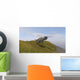 Ceratosaurus Running across Grassy Wall Decal Design 1
