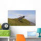 Ceratosaurus Running across Grassy Wall Decal Design 1
