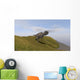 Ceratosaurus Running across Grassy Wall Decal Design 1