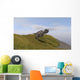 Ceratosaurus Running across Grassy Wall Decal Design 1