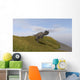 Ceratosaurus Running across Grassy Wall Decal Design 1