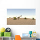 Coelophysis Walking across Barren Wall Decal Design 1